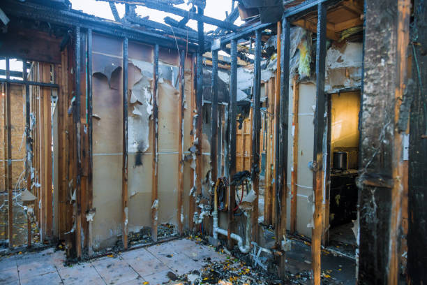 Professional Fire Damage Assessment technician working in Stewartville, MN